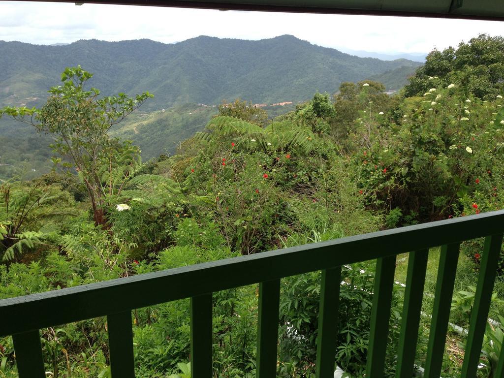 D'Villa Rina Ria Lodge, Kinabalu Park, Kundasang Bundu Tuhan Exterior foto
