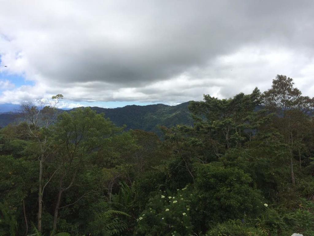 D'Villa Rina Ria Lodge, Kinabalu Park, Kundasang Bundu Tuhan Exterior foto