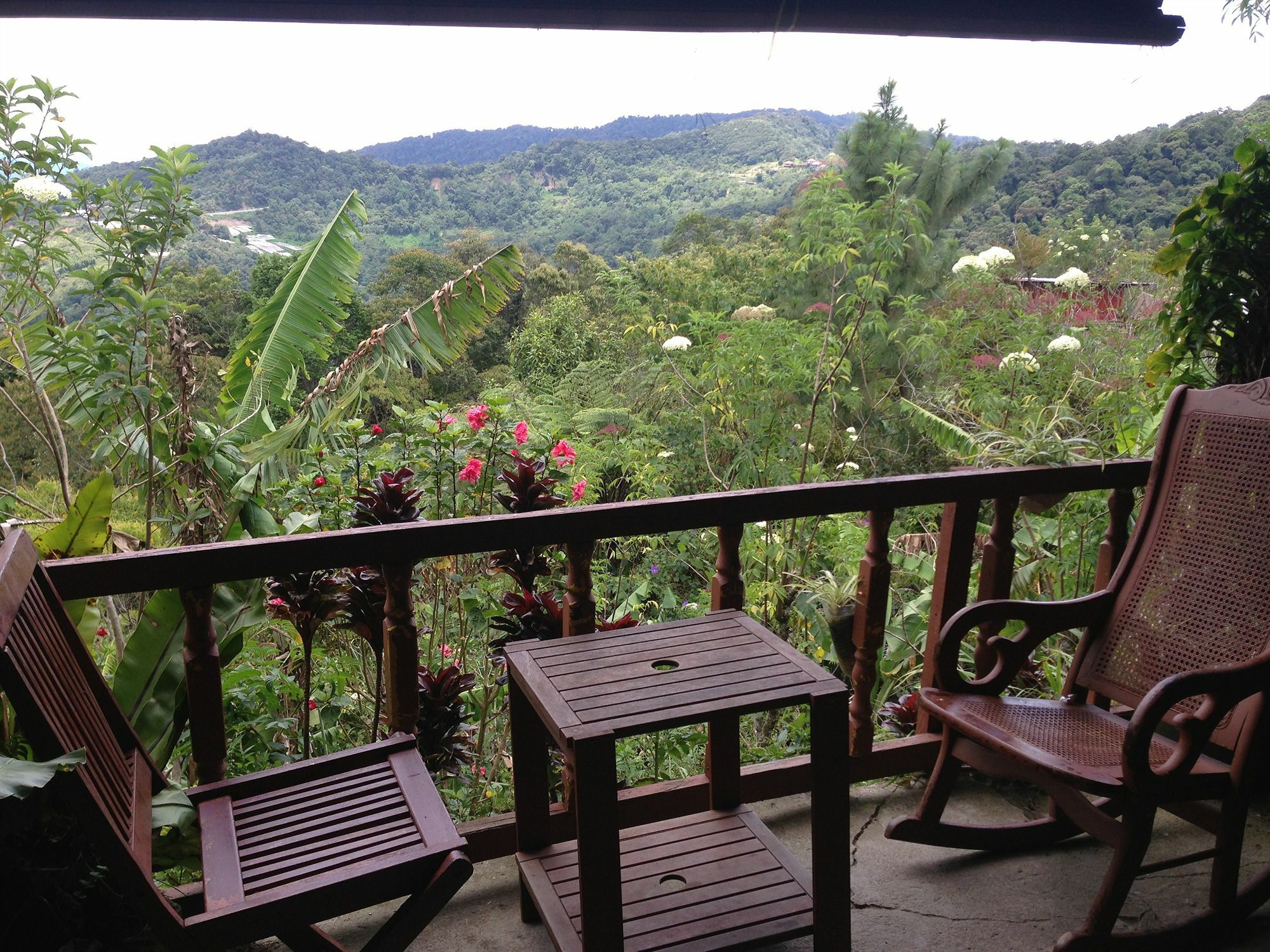 D'Villa Rina Ria Lodge, Kinabalu Park, Kundasang Bundu Tuhan Exterior foto